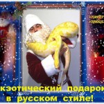 ������ ������ ���� ������ ��������������: ������ ������ ���� ������ ��������������