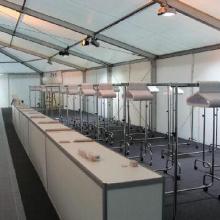 event consulting group expo-dnepr
