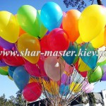 23 ������� � 8 �����: shar-master ���������� ���������� ���������� ������ � �����