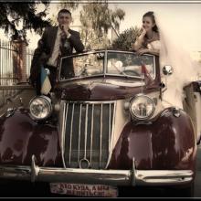 wedstudio
