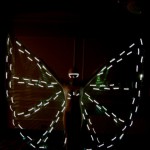 �������� ���: ��� ����