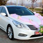 ������ ���������� ���������� ���������� � �������