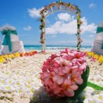 ������� � ���������� �����: catering 4y