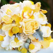 ��������� ���� - �������������� ������ florence