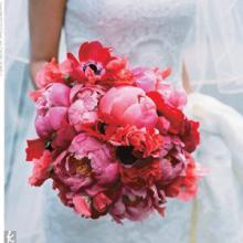 �������������� ������ florence