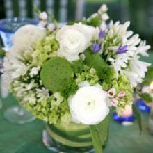 �������������� ������ florence