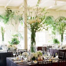 �������������� ������ florence