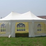 �������: event consulting group expo-dnepr