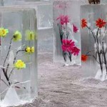 ������ ���������: event consulting group expo-dnepr