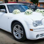 alex-drive lux - ���� �� ������� ������-20