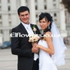 ������ ��������� ���������� elflowers
