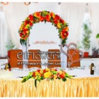 ������ ���������� elflowers