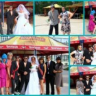 ���������� ����������� pozititff