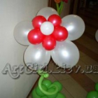 artciti