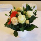 ������-������ magic decor