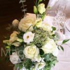 ������-������ magic decor
