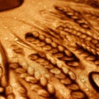 �������� �������� ��� ��������� ������ sand art �� ���-������ sandstorm