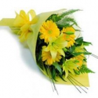 ������ ���������� belfiore