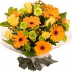 ������ ���������� belfiore