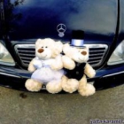 ��������-��������� ���������� � ����
