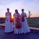 ����� ������ ������� �������� live music