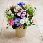 ������ ���������� � ������ flowers for you