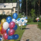���-������ globus