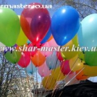 shar-master ���������� ���������� ���������� ������ � �����