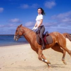 ���������� ������ areacreativ com