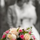 wedstudio