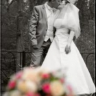 wedstudio