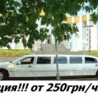 ������ �� 250��� ���