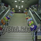 artciti