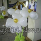 artciti