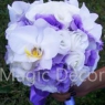 ������-������ magic decor