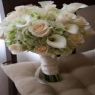 ������ ���������� belfiore