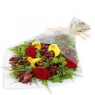 ������ ���������� belfiore