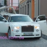 ������ ��������� limos