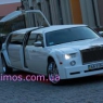 ������ ��������� limos