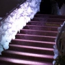 flavio - flowers boutique