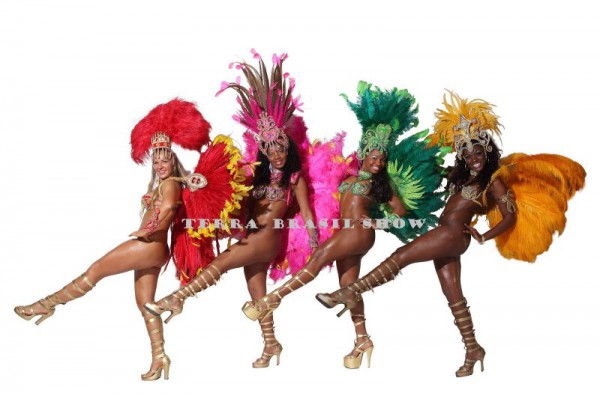 ����������� ��� Terra Brasil