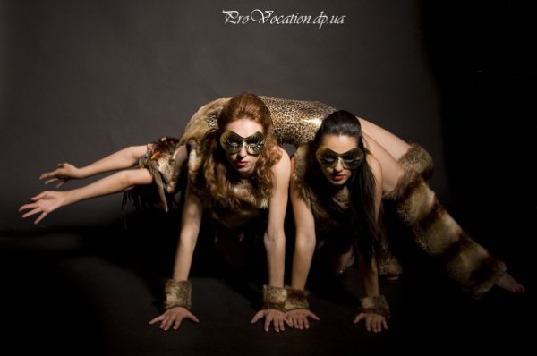 ���-����� ProVocation