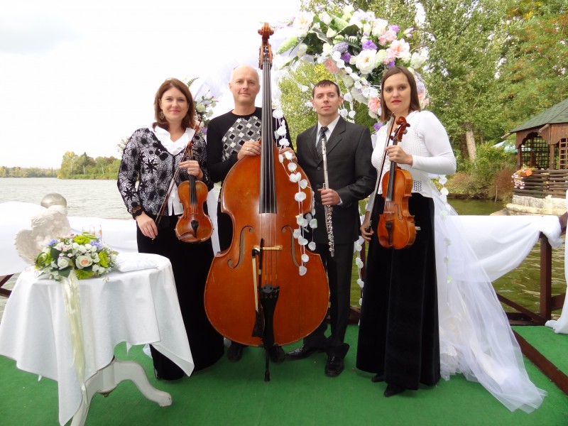 �������� LIVE MUSIC ����� ������ �������