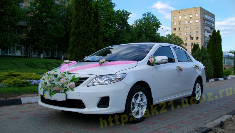 ��������� ������ Toyota Corolla - ����