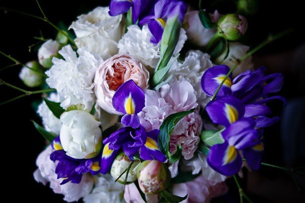 ������ ���������� � ������ Flowers For You