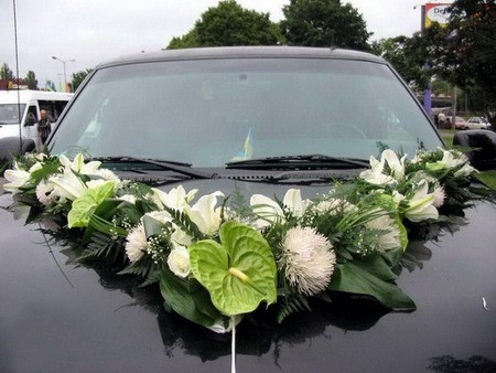 ������ ���������� � ������ Flowers For You