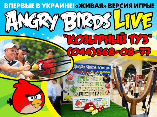  angry birds live      " "