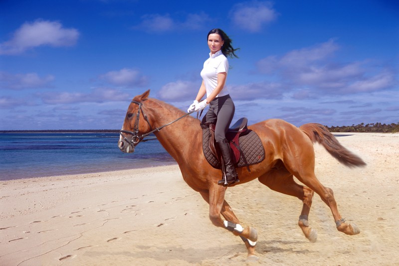 ���������� ������ AreaCreativ com
